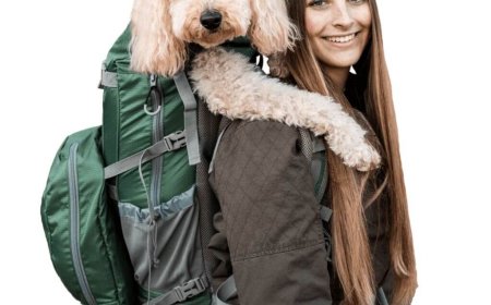 Choosing the Right Dog Carrier for Comfort and Safety