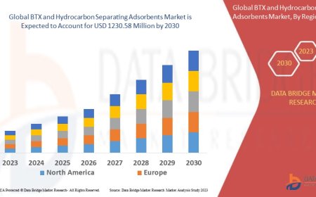 BTX and Hydrocarbon Separating Adsorbents Market Dynamics: Trends and Forecast to 2030