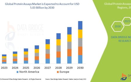 Protein Assays Market Graph: Growth, Share, Value, Insights, and Trends