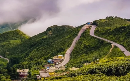 Darjeeling Tour Packages Under 10000: Cheapest Way to Darjeeling