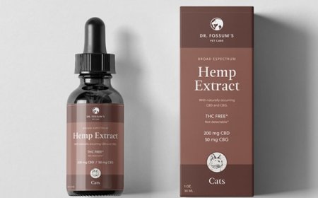 Calm & Comfort Your Feline with Cat Hemp – IV San Bernard USA