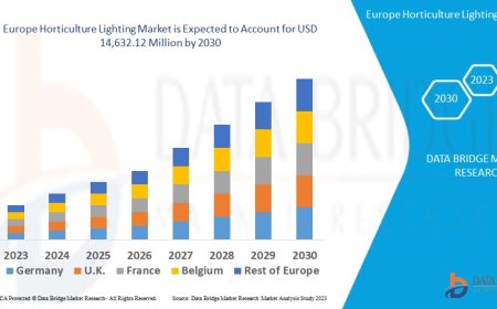 Europe Horticulture Lighting Market Leaders: Growth, Share, Value, Size, and Scope