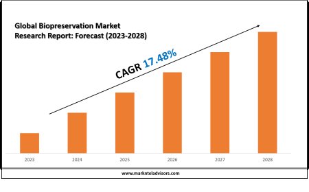 Top Companies in the Biopreservation Industry – Market Leaders: Merck KgaA, VWR International