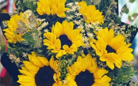 Seasonal Flowers to Order with Flower Delivery in St Kilda