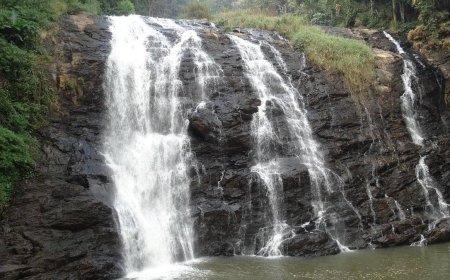 Explore the Beauty of Coorg: Tourist Attractions in Madikeri