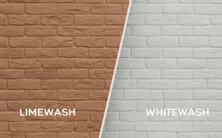 House Painting Miami Tips: Choosing the Best Colors for Coastal Living