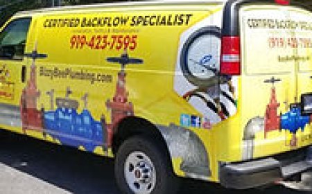 Reliable Plumbing Services in Durham Bizzy Bee Plumbing Experts