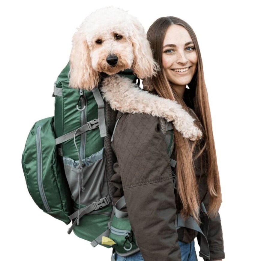 Choosing the Right Dog Carrier for Comfort and Safety
