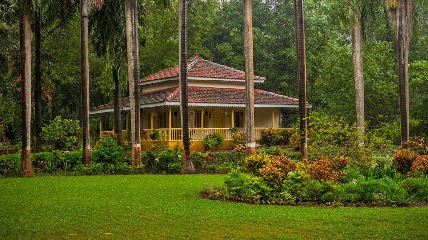 Explore Wildlife Wonders at the Famous Sayaji Baug Zoo