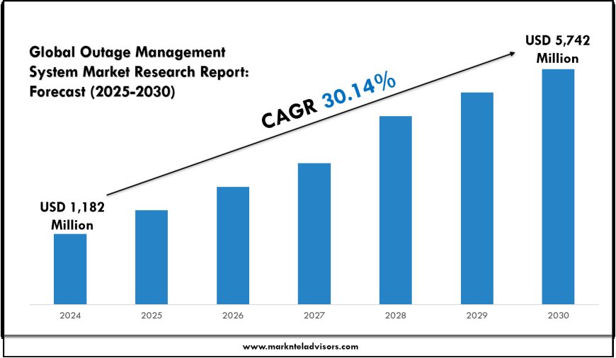 2025–30 Outage Management System Market Insights & Drivers