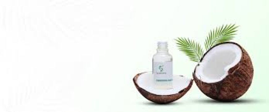 Top Essential Oil Manufacturers in India for Pure Extracts