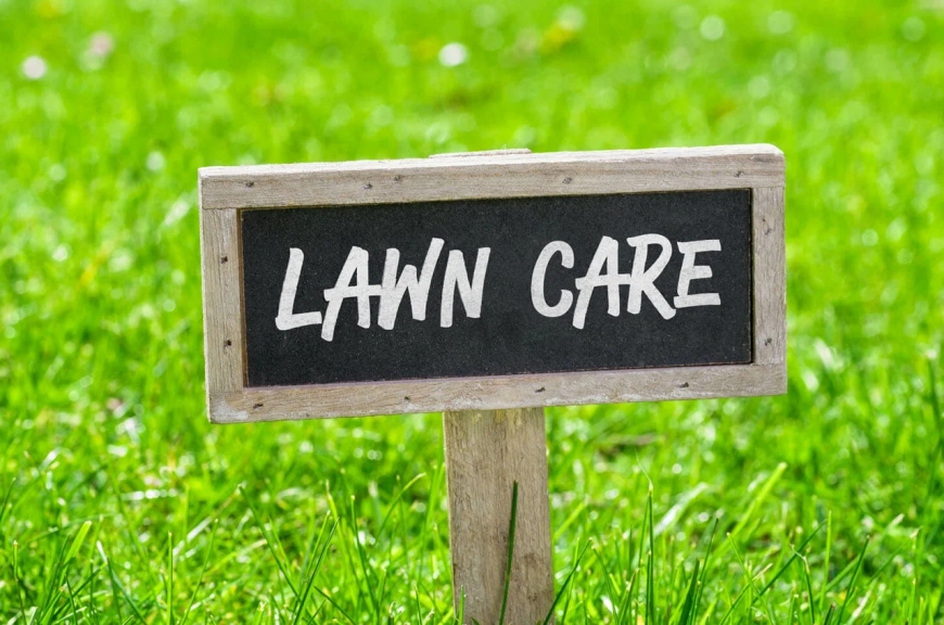 Vancouver Lawn Care for New Homeowners: A Starter’s Guide.