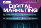 Finding the Best SEO Freelancer in Delhi: A Smart Move for Your Business