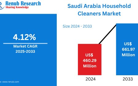 Saudi Arabia Household Cleaners Market Thrives Amid Rising Hygiene Awareness and Urbanization