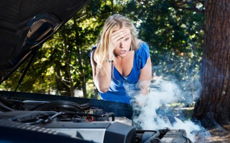 How Extreme Weather Shapes Australia’s Car Protection Industry