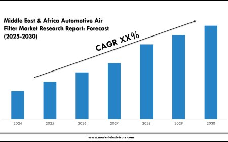 Middle East & Africa Automotive Air Filter Market Value & Industry Overview | Growth Outlook 2030