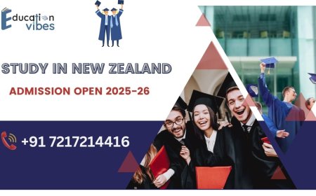 What are the most popular courses to study in New Zealand?