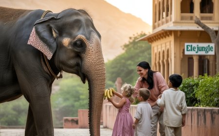 Top 10 Best Places to Visit in Rajasthan for a Royal Escape in 2025