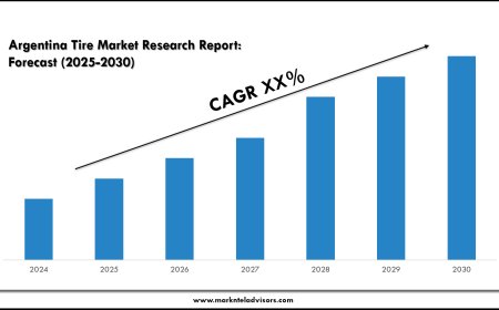Argentina Tire Market Forecast, Segmentation & Key Insights