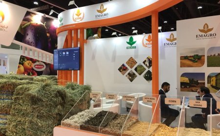 Why IDP Exhibition is the Go-To Partner for Trade Shows and Exhibitions in Saudi Arabia
