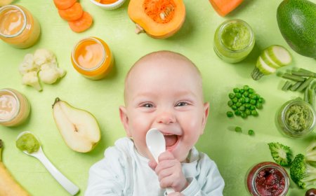 Organic Baby Food Market to Surpass USD 13.86 Billion by 2033, Driven by Parental Shift Toward Healthier, Chemical-Free Nutrition