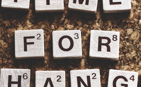 Understanding Variation of Conditions in New Zealand Immigration