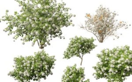 3Ds Max Tree 3D Models – Free Download Available