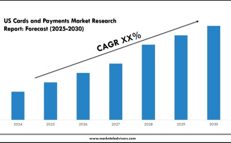 Comprehensive US Cards and Payments Market Analysis & Forecast Data