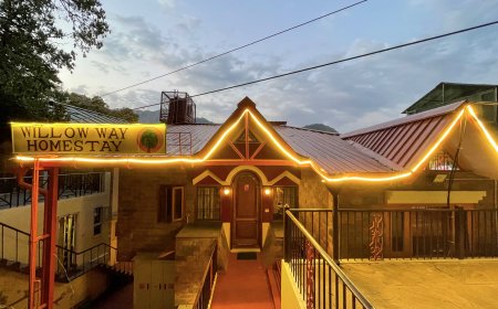 Perfect Summer Getaway in Nainital with The Willow Way