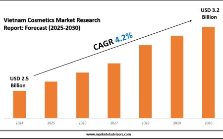 Comprehensive Vietnam Cosmetics Market Analysis & Forecast Data