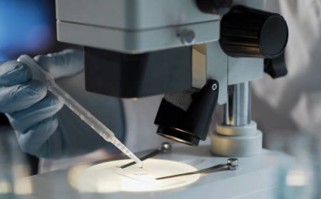 How Accurate Is Choice DNA’s Non Invasive Prenatal Paternity Test?