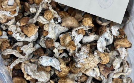 How do i find magic mushrooms near me in united kingdom