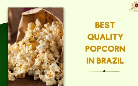 Discover the Best Quality Popcorn in Brazil for Export