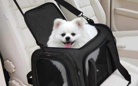 Choosing the Perfect Puppy Car Carrier for Safe and Comfortable Travel