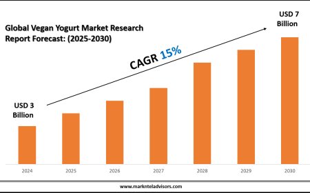 Comprehensive Vegan Yogurt Market Analysis and Forecast Data