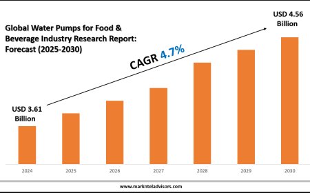 Comprehensive Water Pumps for Food & Beverage Industry Market Analysis and Forecast Data