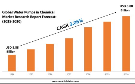 Comprehensive Water Pumps in Chemical Market Analysis and Forecast Data