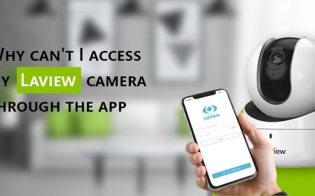 Why can't I access my Laview camera through the app?