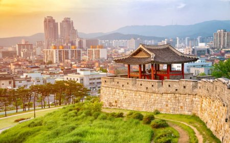 Top 10 Must-Visit Places in South Korea for an Unforgettable Adventure