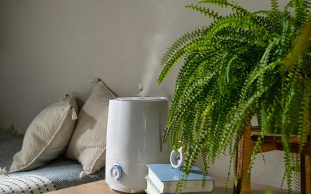 How Does a Whole House Dehumidifier Work?