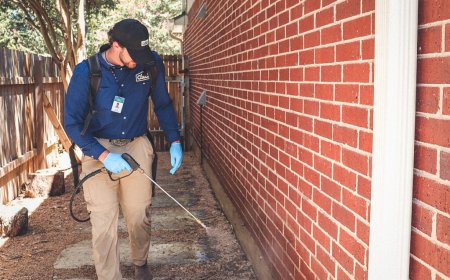 Best Pest Control in Washington | Pest Control Xpertz