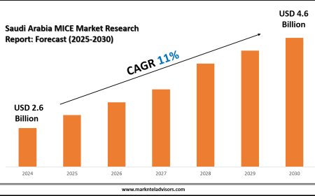 Comprehensive Saudi Arabia MICE Market Analysis and Forecast Data
