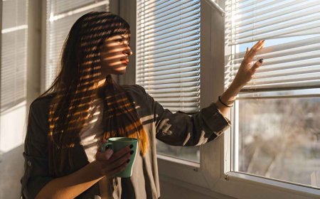 Blinds Dorset: Perfect Window Treatments for Every Home and Office