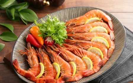 Global Shrimp Market Expected to Reach US$ Billion by 2033, Driven by Rising Demand and Aquaculture Innovation: Renub Research