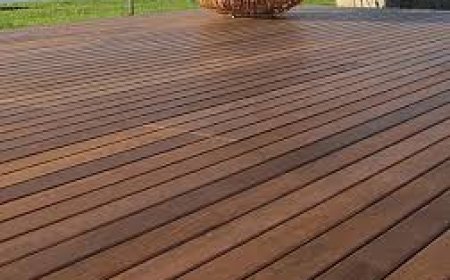 Why Do Hospitals Need Calm Landscaping in Waiting Areas?