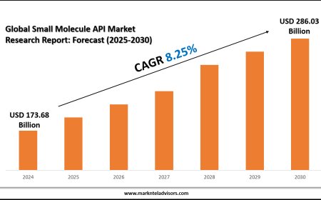 Comprehensive Small Molecule API Market Analysis and Forecast Data