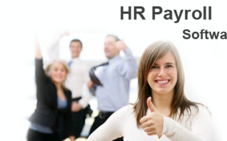 Streamlining Success: Why Modern Businesses Need Smart HR and Payroll Software