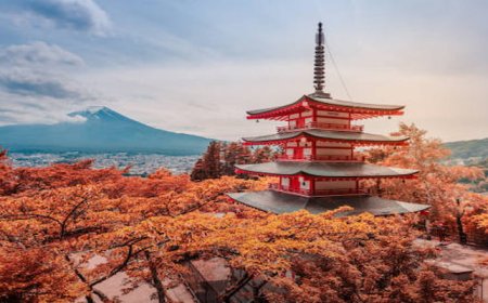 Top 10 Nature Spots in Japan for Outdoor Lovers