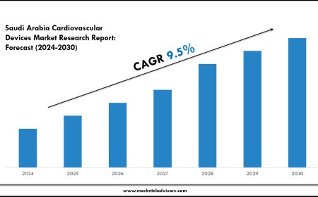 Saudi Arabia Cardiovascular Devices Industry Report: Size, Share and Segment Breakdown