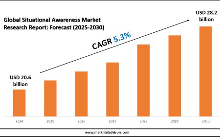 Situational Awareness Market Size, Trends and Forecast Analysis 2025–2030